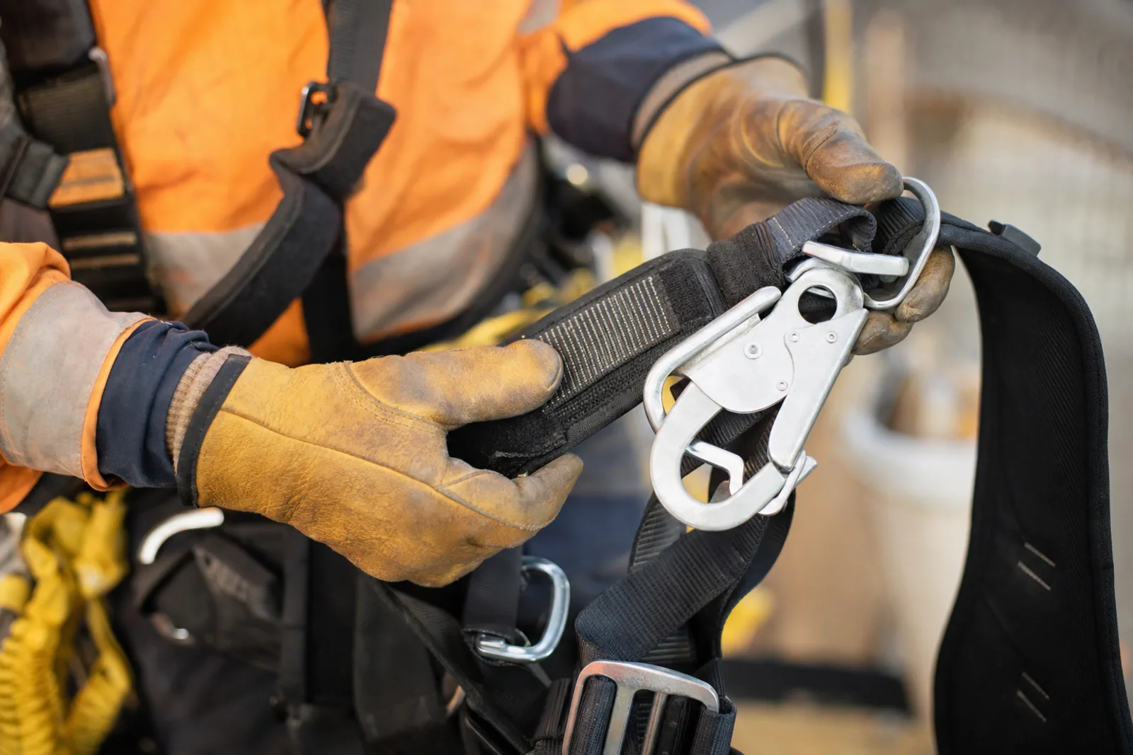 Safety harness inspection